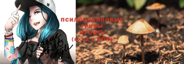 крисы Магадан