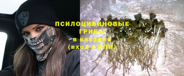 гидропоника Ельня