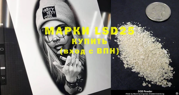 крисы Магадан