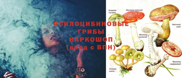 винт Магас