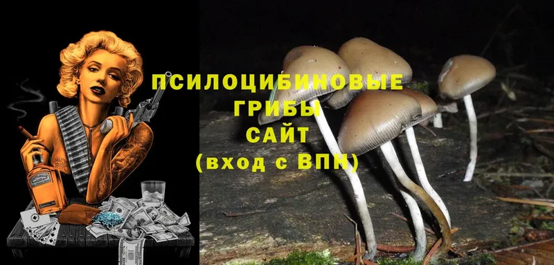 Галлюциногенные грибы ЛСД  Ермолино 